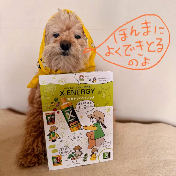 Bd432ed8 13fb 4618 a412 9ba97349faf8 1773022258496