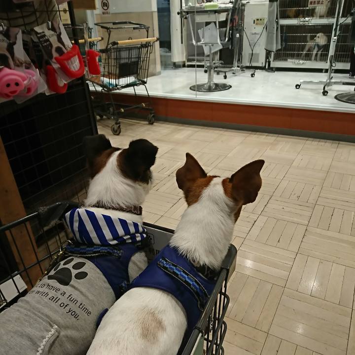 Bd434b31 5b52 4d6c 95eb 633796e07d02 1525853806026