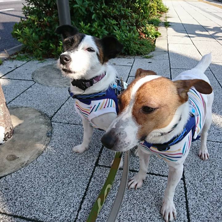 Bd437b71 2c76 4e1b 9fef 57c65e1864aa 1529619653606