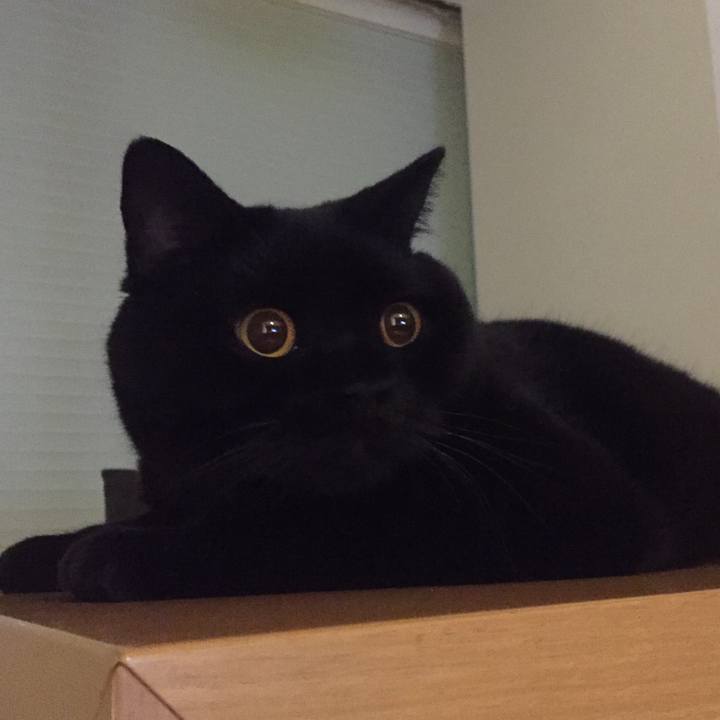 Bd440c2d f84f 4a4e 88c8 cdf2f1bca1da 1570275919431