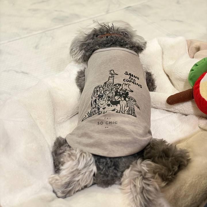 Bd442689 9e55 41ad bf9b 5c0114a81e1c 1774006294167