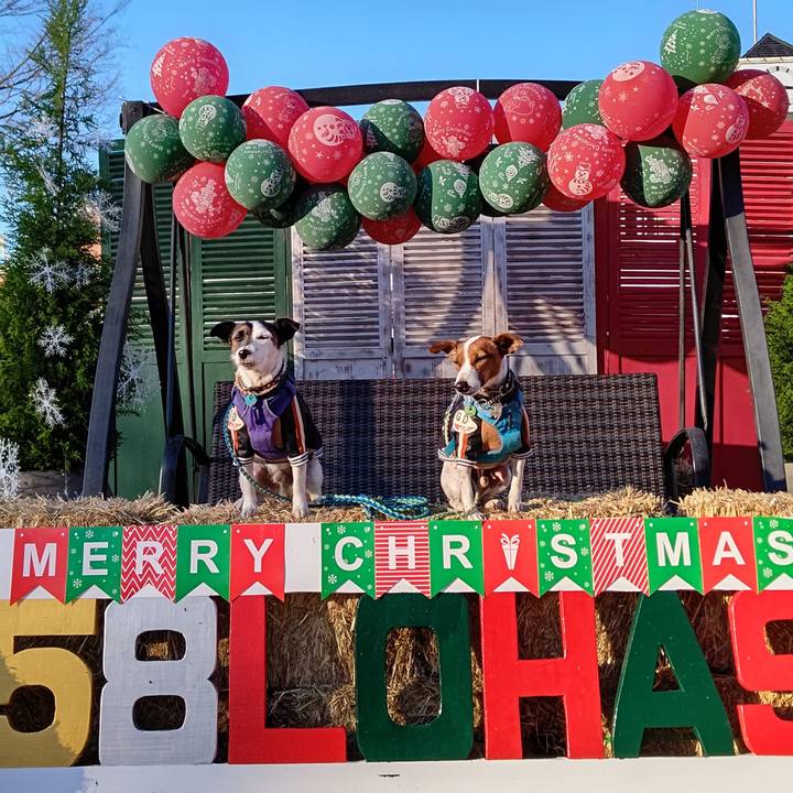 Bd442d8d 3ca9 4992 9cf3 a52aae0326c9 1638009489345