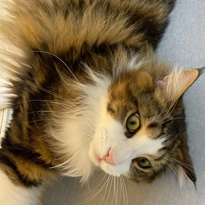 Bd44675d ea8b 4aa0 a2ec 1d0ef8ee556f 1654773539217