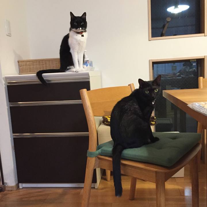 Bd4474ab f456 4c5a bbf3 66210002fa32 1539345709023