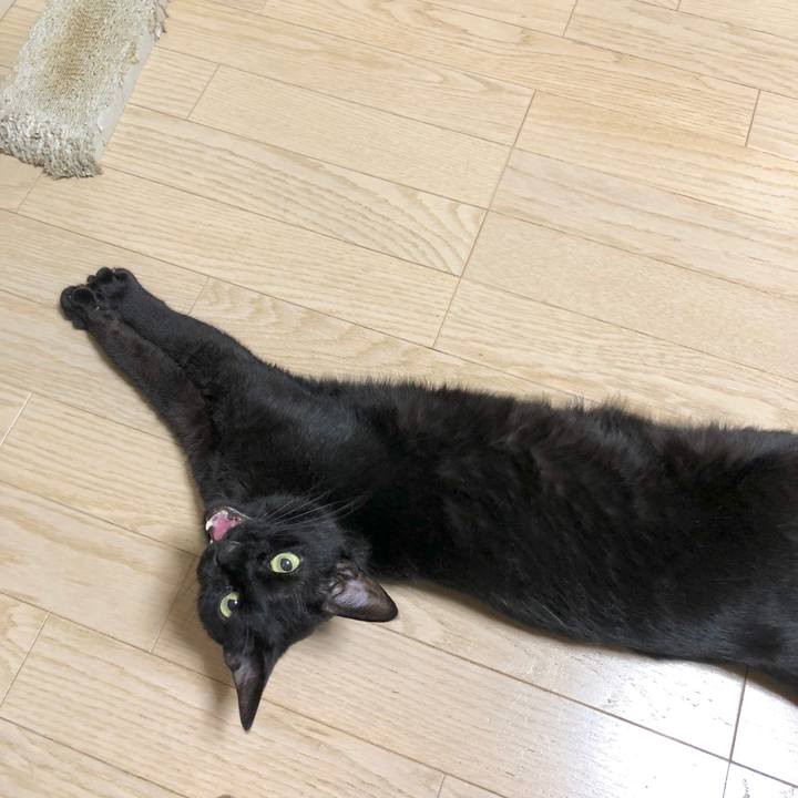 Bd44e37e cd9c 4197 a8be b00da61c33bb 1591277784758