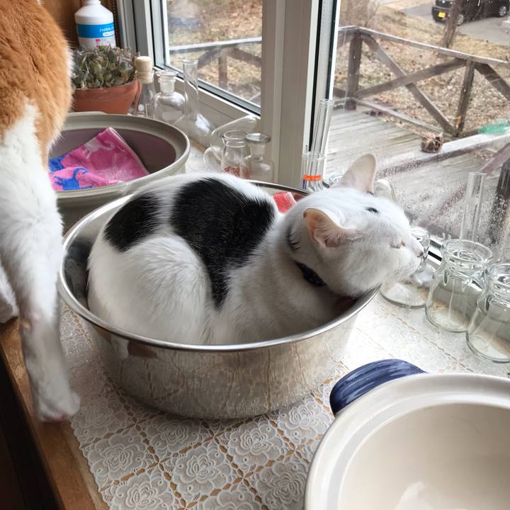 Bd4505ea 12ce 43d3 bbbc 54fc7d4273c1 1588022819157