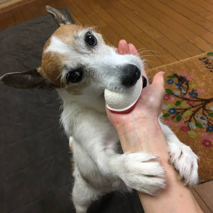 Bd451aa6 d511 4e7e 9d2d 6bc19e1f3acb 1659655580691