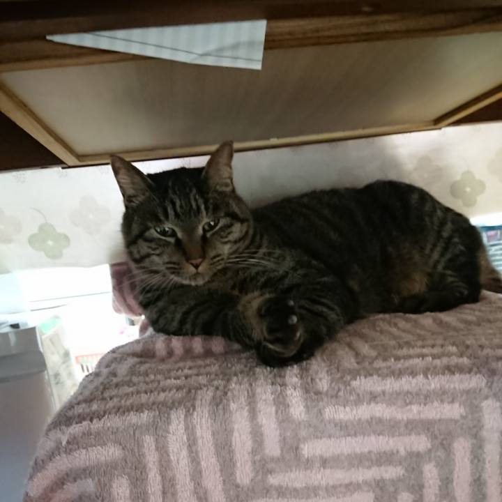 Bd451e44 0af5 4c79 9c7c 6cb4794ddfad 1639995515975