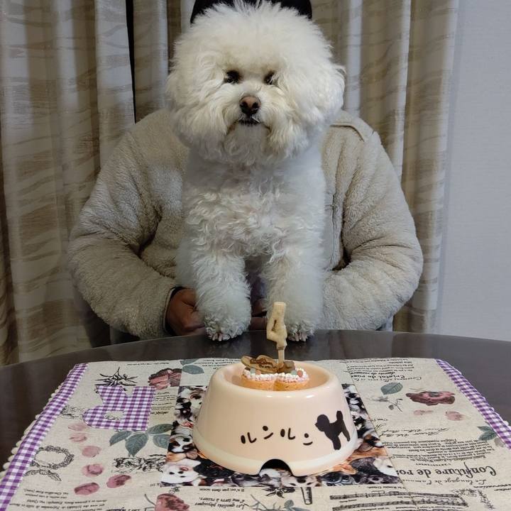 Bd452fda 7d32 4fd7 8c21 8d833aae96ef 1612089351914