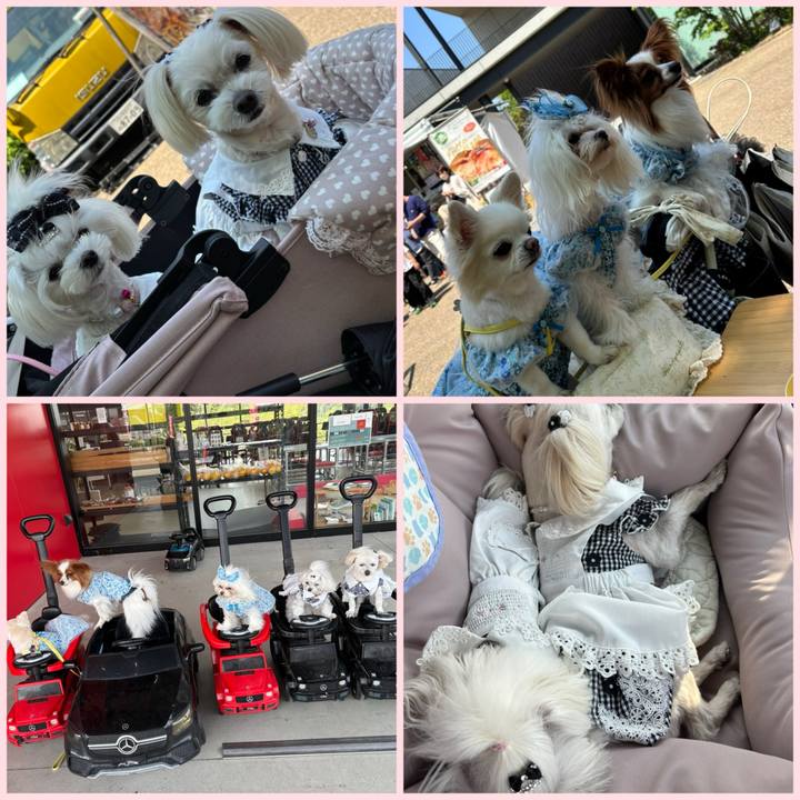 Bd453117 d3e1 4240 8749 a6fe6d262e8e 1745741878700