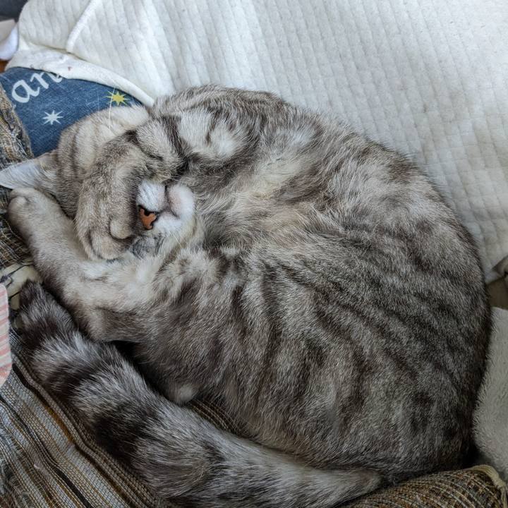 Bd454353 a444 4a72 ad1a ddb0e619dd04 1712212093354