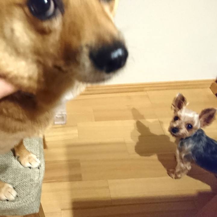 Bd45477c 2387 4258 9628 baf89cd24755 1536240519665