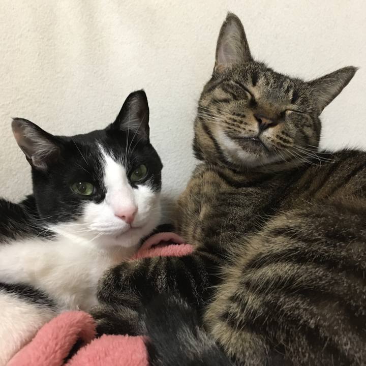 Bd4550b7 621b 482d b5dd d9b6d376a2f5 1508656067702