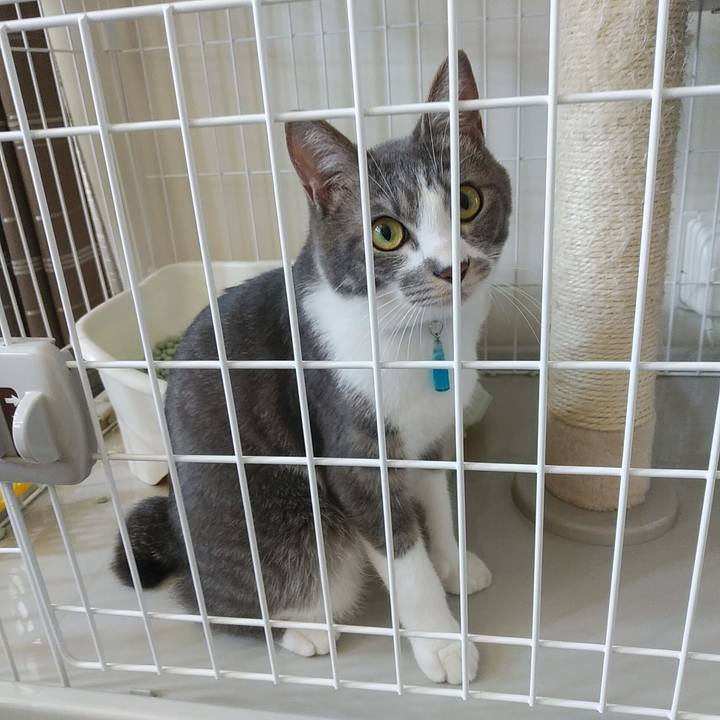 Bd457fb5 5389 420a 8607 d47270010051 1590795149165