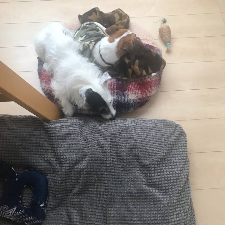 Bd459a2b 8a34 4307 9eaf e544e1541a0f 1538003003121