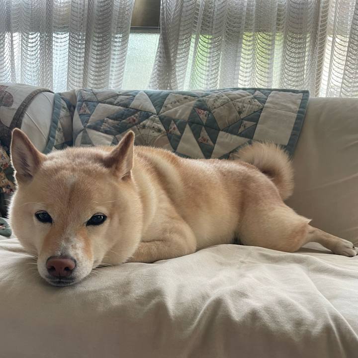 Bd45bae7 610c 4151 b4e5 73cc274e39a5 1687132202969