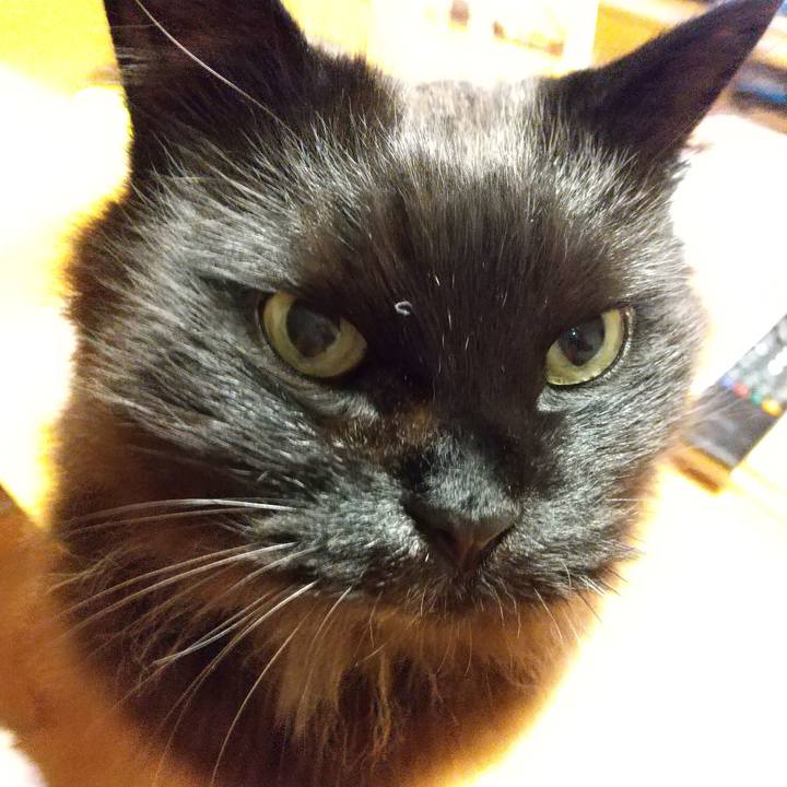 Bd45d560 8a18 4c26 a096 2d74b49e2f43 1616232528789