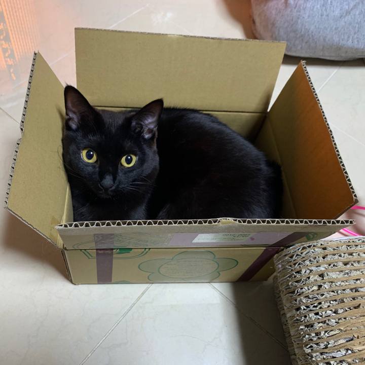 Bd463c05 92f1 4a76 b3cd 726a0edd22d5 1604670483401