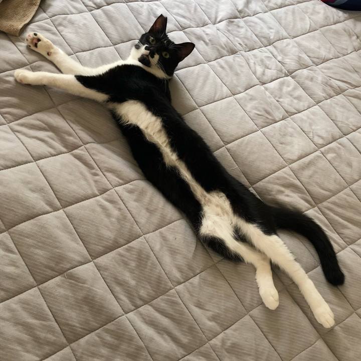 Bd465ad2 fbdd 40c4 8c79 39f6338f9616 1558776353402