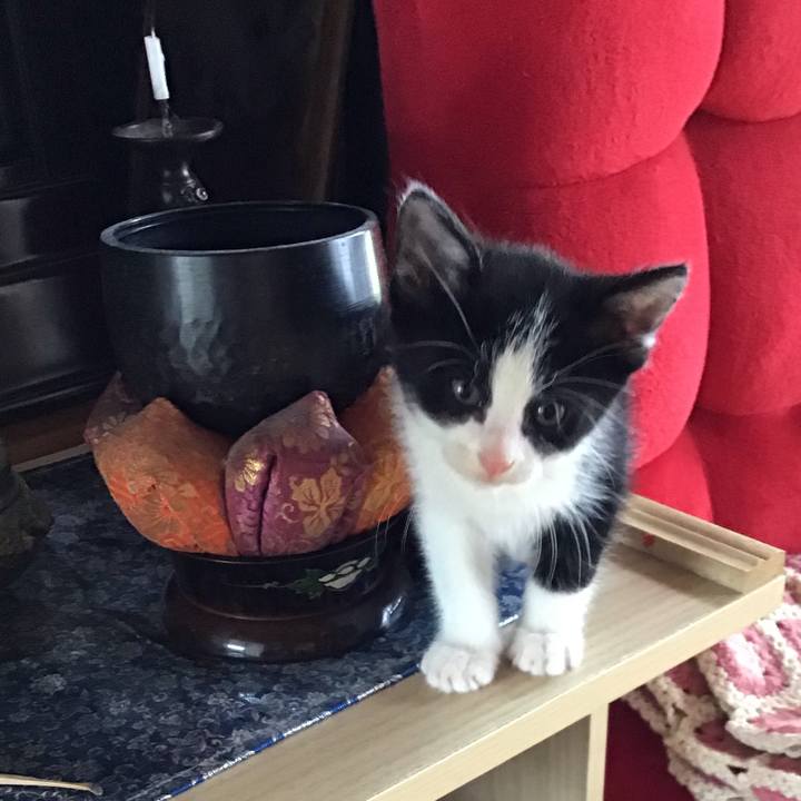 Bd4671ee a215 4705 aad5 c65ea8cbf7af 1623384581990