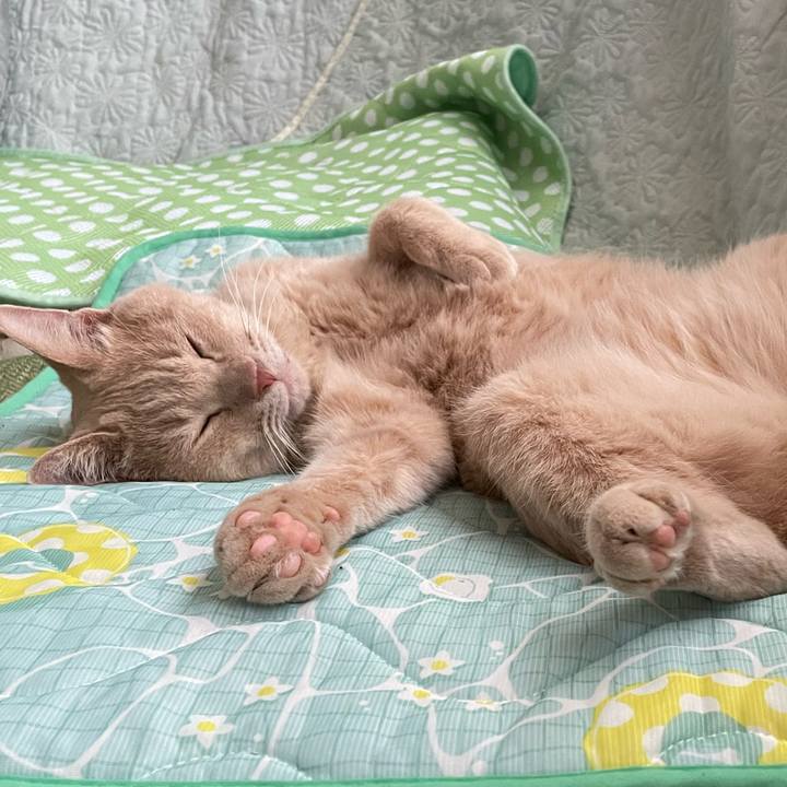 Bd46771d b108 4e0c 8abd d99b03d6688f 1720870940267