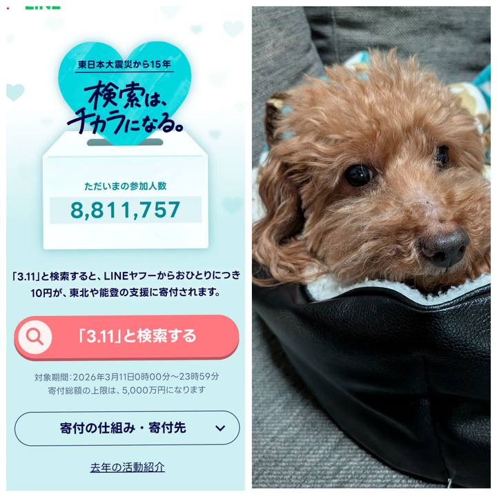 Bd469320 6113 4c19 92e0 7d0b1ff4c5cd 1773224468249