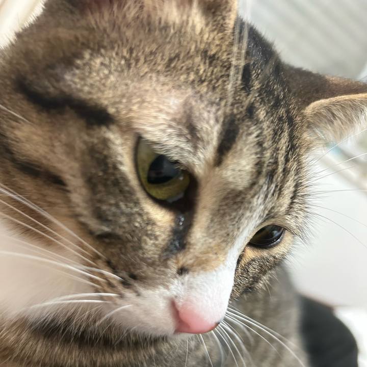 Bd46b7dc eeb4 425a 85ac d060b5778562 1765374995639