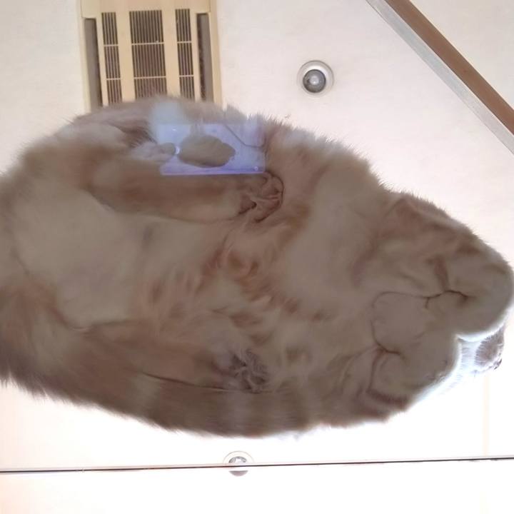 Bd471247 ceff 4050 b23a e575b711e19a 1590651908156