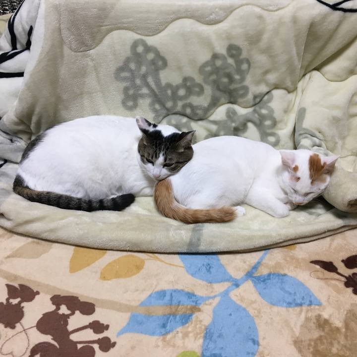 Bd47134e 643b 4f36 a645 f562144c3ba2 1511694518217