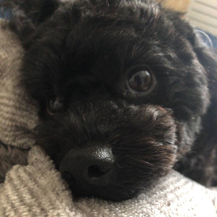 Bd473fae e9ad 438e 8fa6 7b751cf23fd9 1555916836139