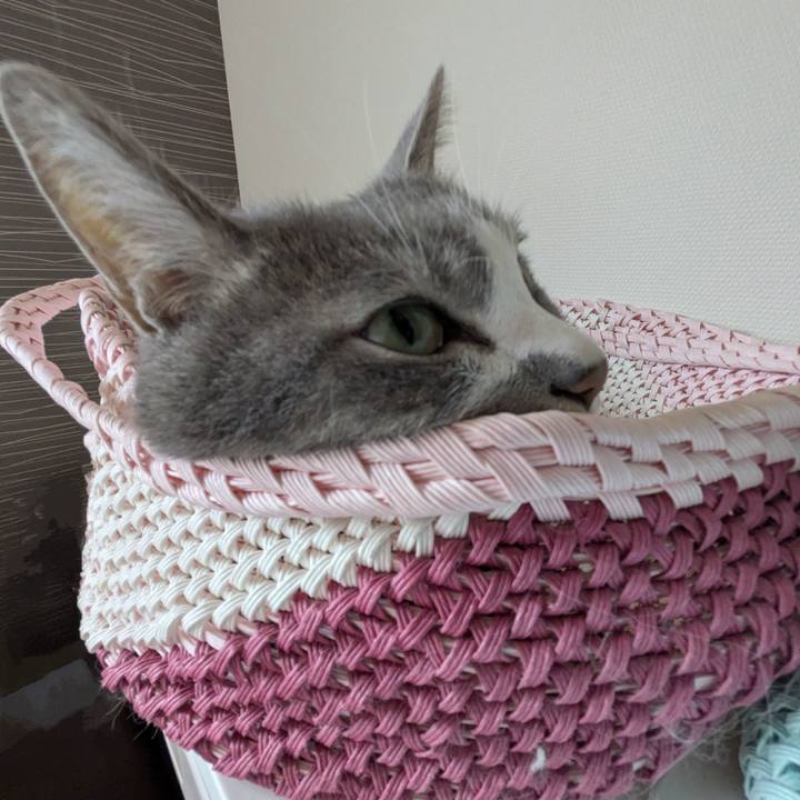 Bd4752d1 e874 459b 976f 3857cdcac053 1754794788037