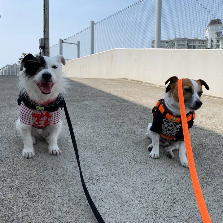 Bd477892 a107 4a45 b0c3 2f8011f77ddd 1555645435665