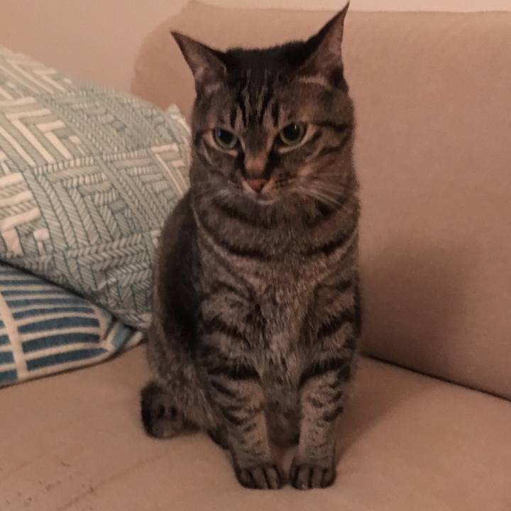 Bd479ffd f175 4778 afb3 f16eb8e0990f 1558256957044