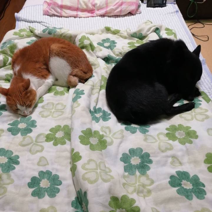 Bd47bcbe 4a76 4709 8329 b1313b5f9d59 1603200582197