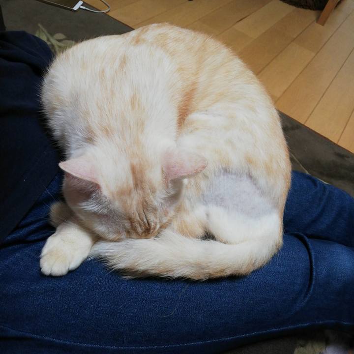 Bd47cc4f 34f0 4844 9e0c cca410159d3b 1602885920887