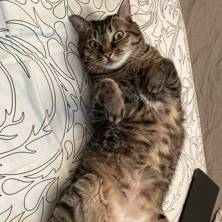 Bd47cd5a 6b8b 47c1 9995 8402bb0f2019 1632814643831