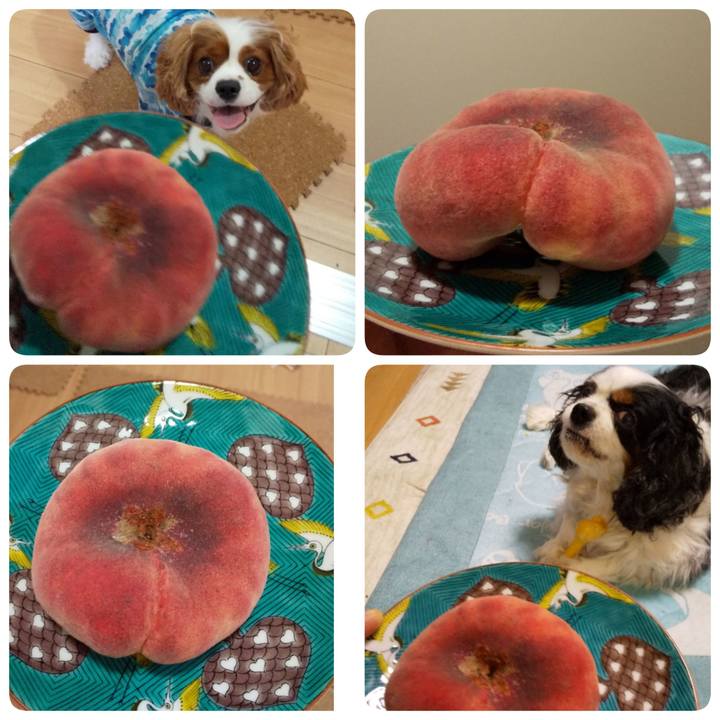 Bd47d8c5 d8d2 43e5 add3 86eb91f3703d 1598103777417