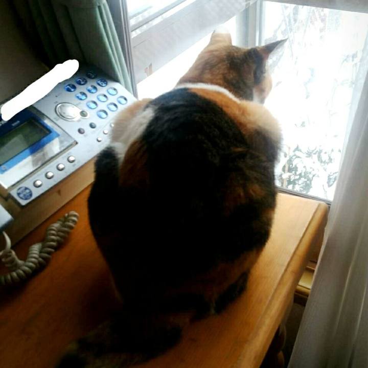 Bd47dd0b 9b10 4758 8435 bf50aa7f0a05 1511572806964