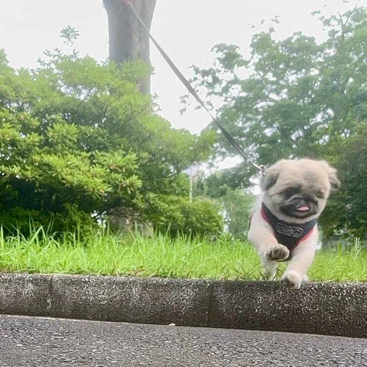 Bd47f9a0 63eb 4037 8a87 175706567881 1719357654881