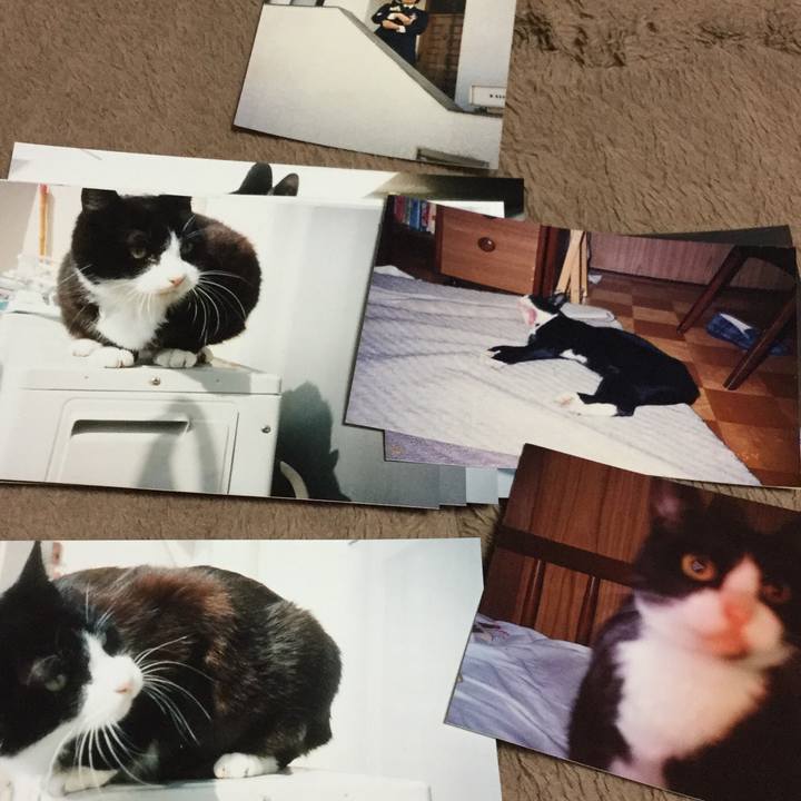 Bd480ad7 bda8 4963 b114 ec455a321dcd 1522244196357