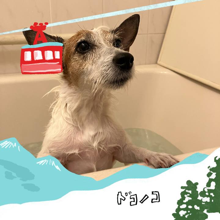 Bd480ee1 affe 407e 8762 e4a303ed3156 1707103660667