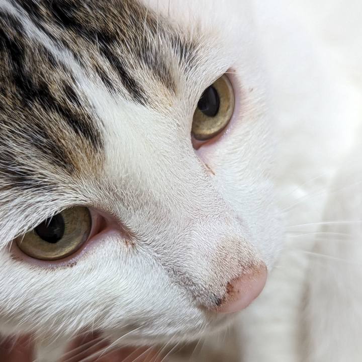 Bd482770 736e 4db5 a937 1f34f941e0ff 1703425727894