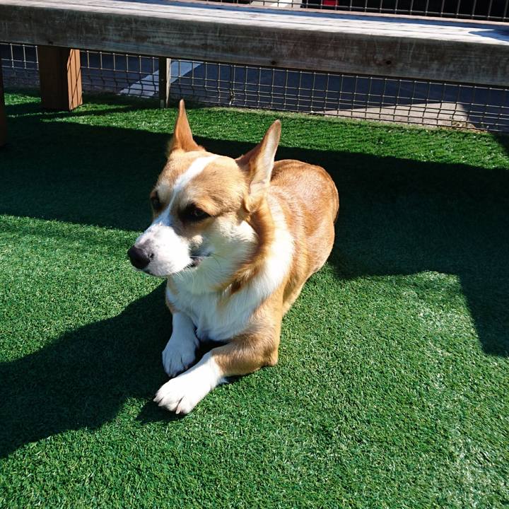 Bd483740 4d14 4313 81b2 a2b6a7528f5c 1583089584066