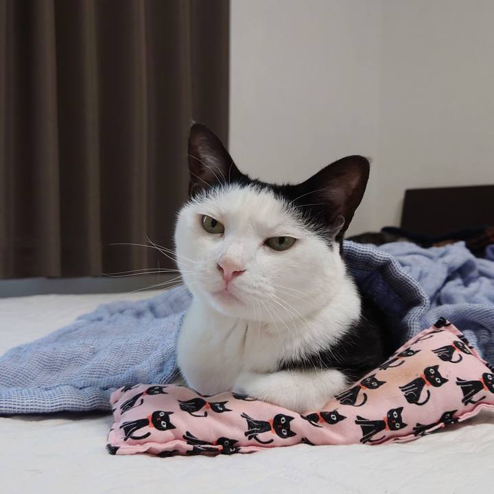 Bd483c88 c007 420c b54e 6955cd600219 1630633218569