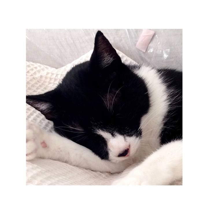 Bd48619e 063c 4bc0 926b 8bca06cd9f9a 1616317739135