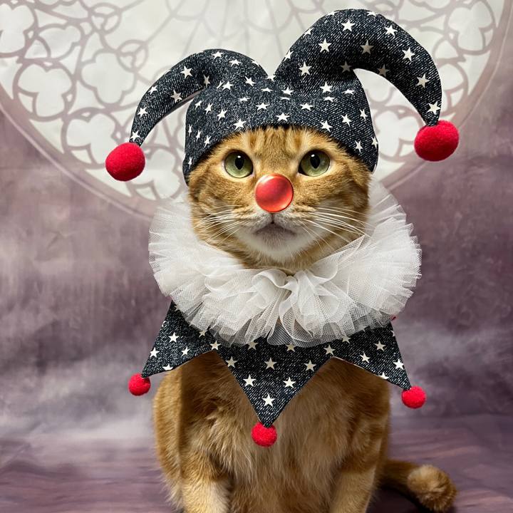 Bd489016 3e00 485a 8823 722527b4c862 1691360568738