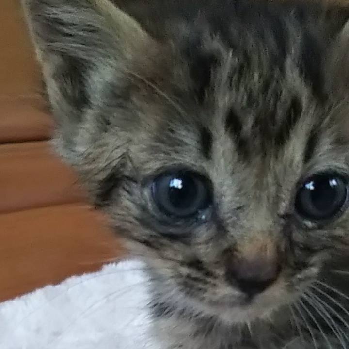 Bd48d185 8199 450d b98d a8f7825e7e5a 1631952351625