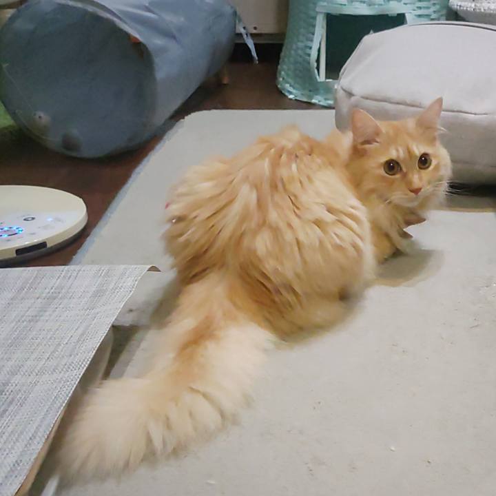 Bd48ed11 d70d 4adf b434 cd807163a81f 1723039504663