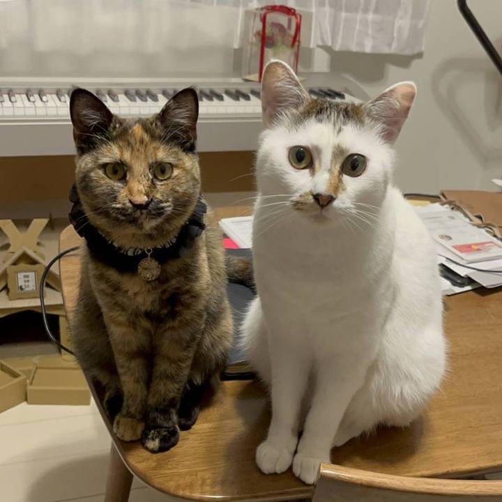 Bd48f47c 8ea5 4499 8b41 cf939ce55bc5 1764405893467