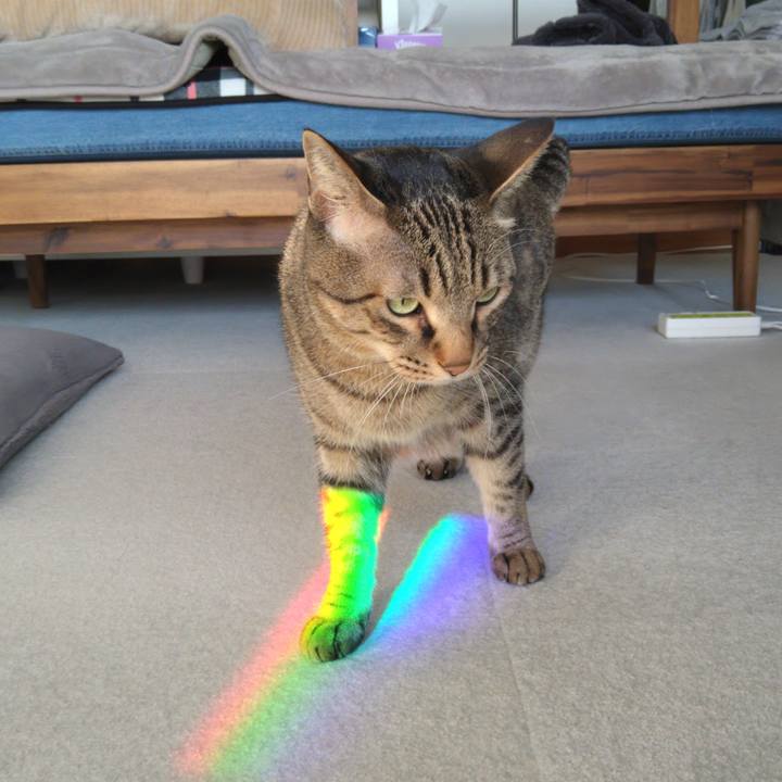 Bd493655 e607 4df4 bce4 07fcd2f684ad 1639199239043